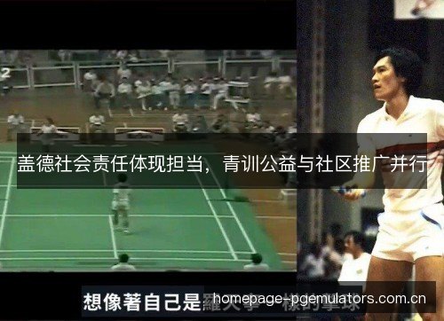 盖德社会责任体现担当，青训公益与社区推广并行